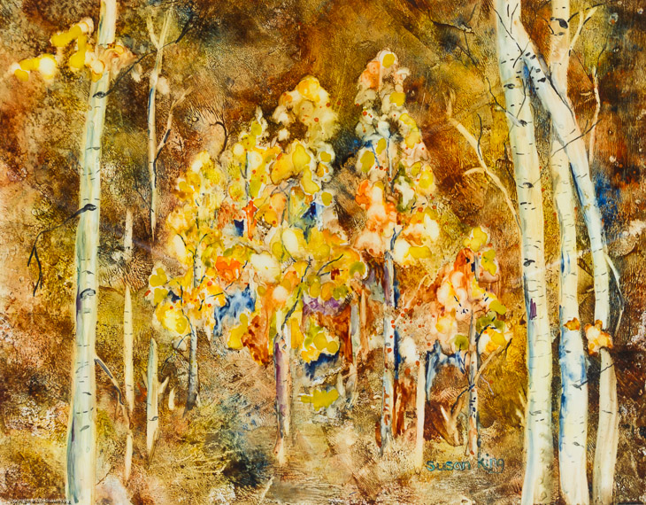 Aspen Wonders