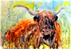 Bull