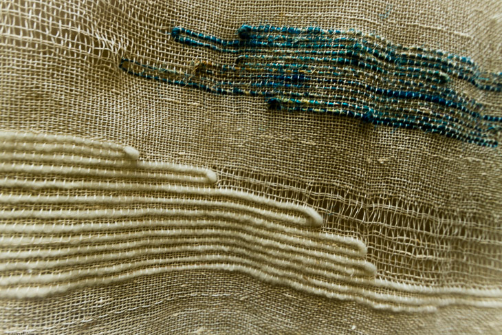 Flutter (Close-up)