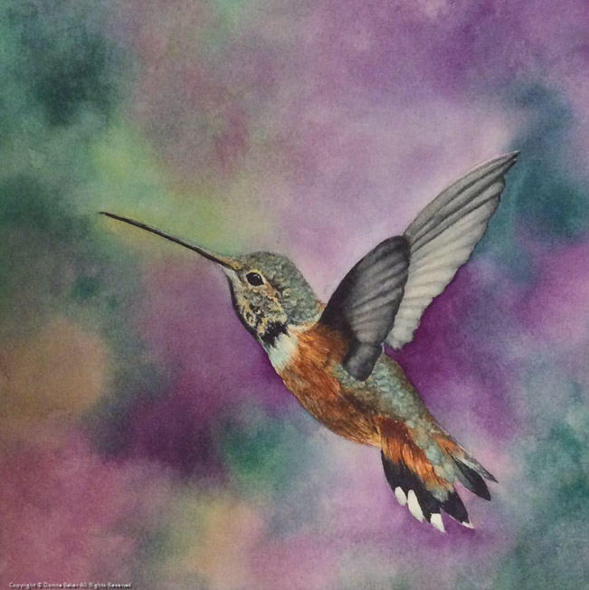 Hummingbird in Flight