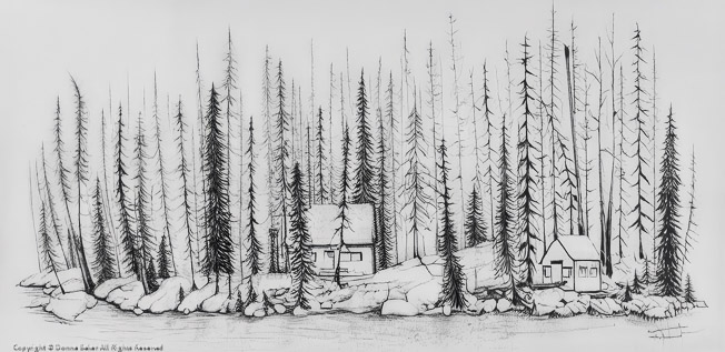 The Silent Shoreline